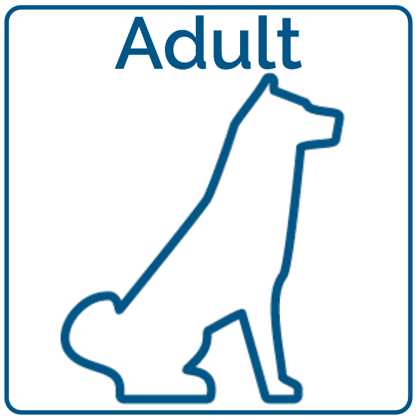 For Adult Dogs