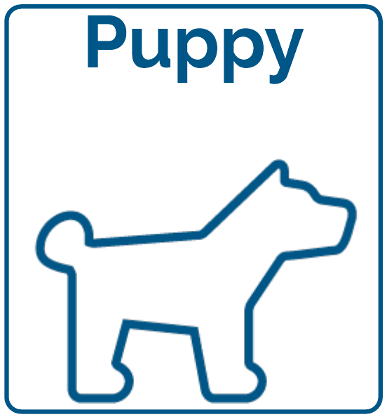 For Puppies