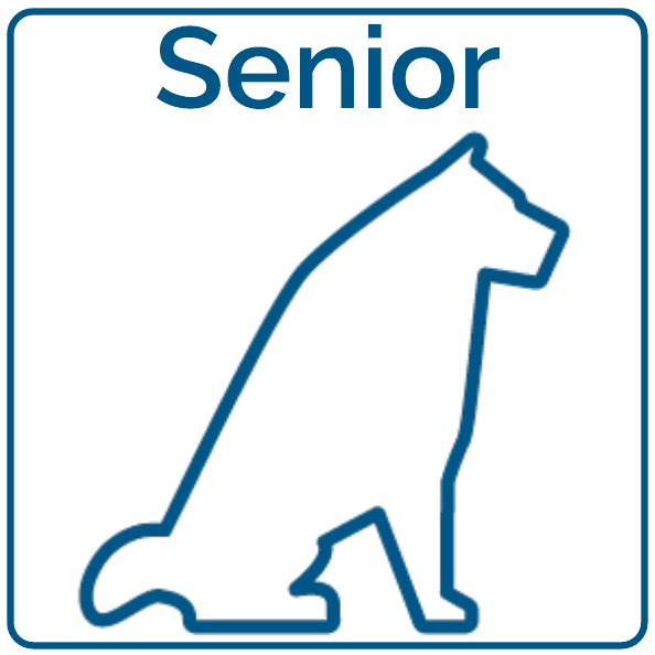 Senior Care