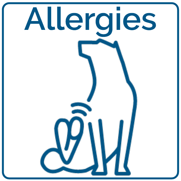 Allergy Relief