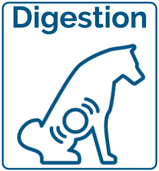 Digestive Health