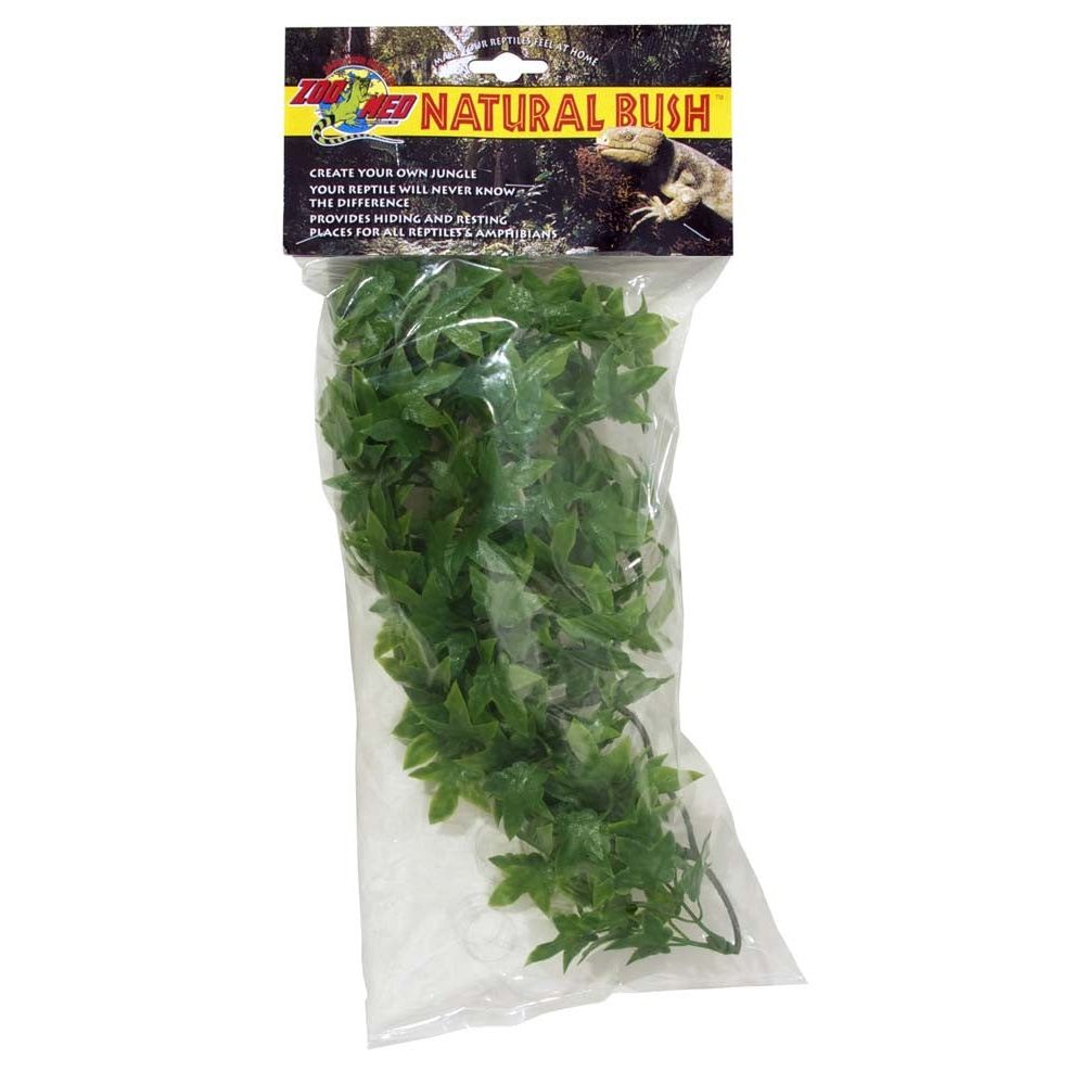 Zoo Med Natural Bush Congo Ivy Plants Green 1ea/14 in, SM