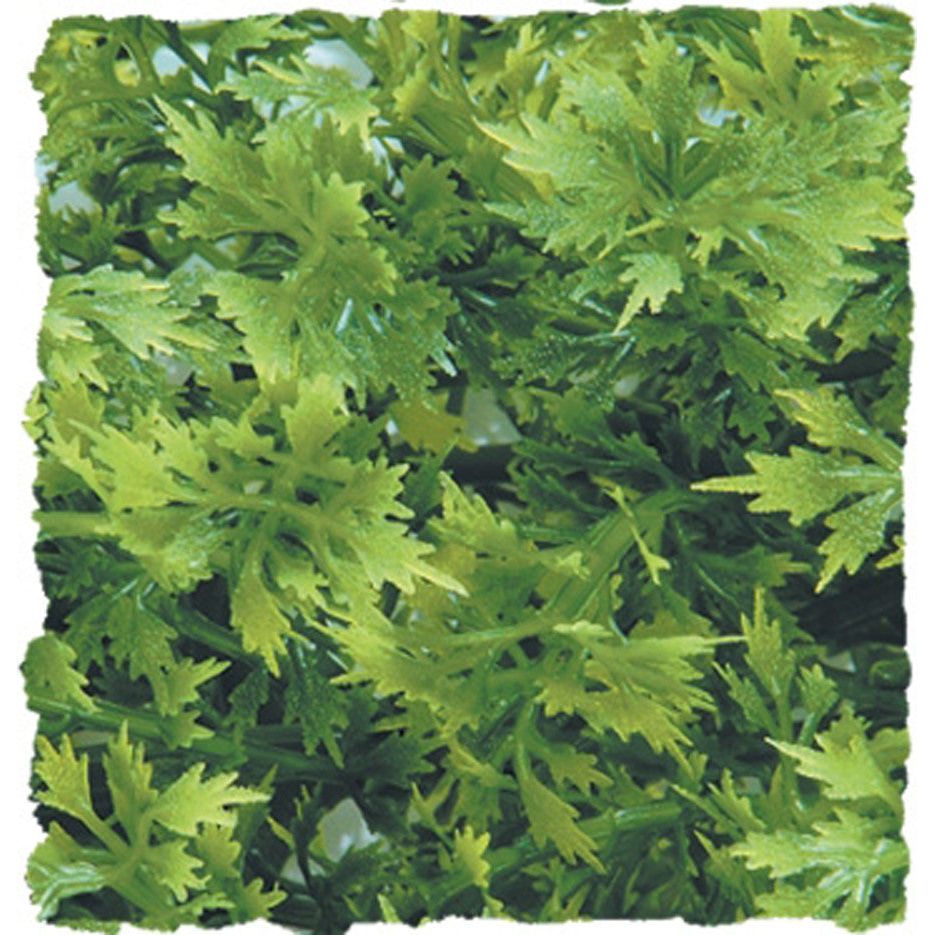 Zoo Med Natural Bush Australian Maple Plants Green 1ea/14 in, SM