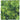 Zoo Med Natural Bush Australian Maple Plants Green 1ea/14 in, SM