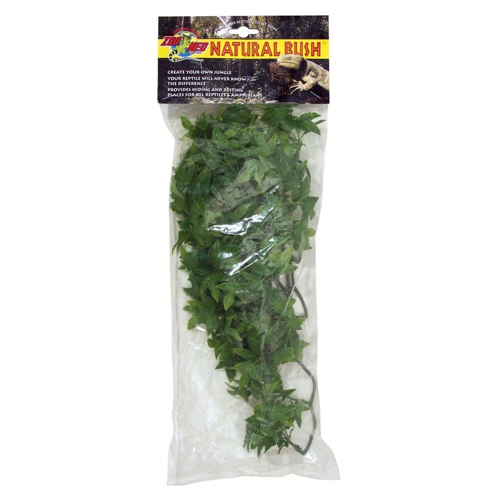 Zoo Med Natural Bush Congo Ivy Plants Green 1ea/18 in, MD