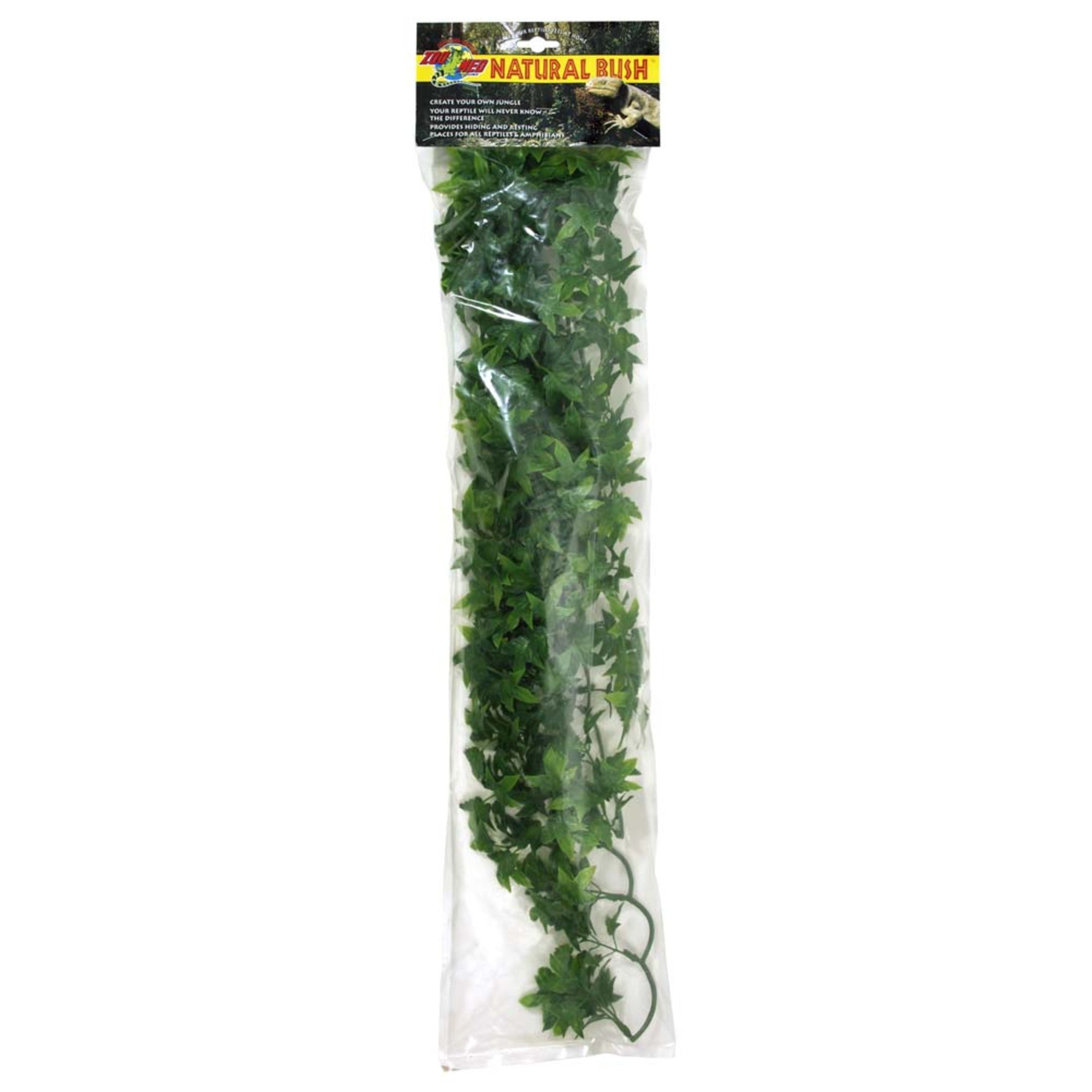 Zoo Med Natural Bush Congo Ivy Plants Green 1ea/22 in, LG