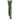 Zoo Med Natural Bush Congo Ivy Plants Green 1ea/22 in, LG