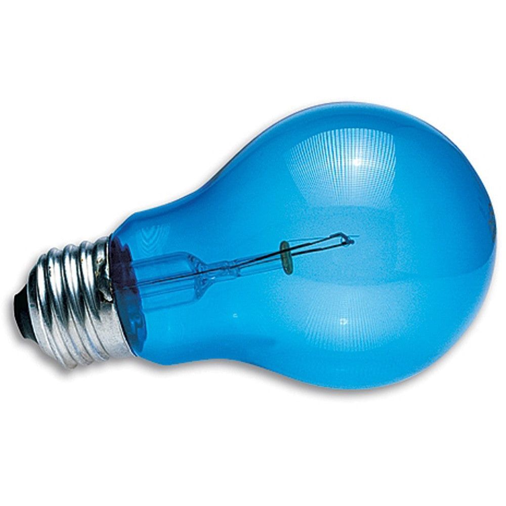 Zoo Med Daylight Blue Reptile Bulb Blue 1ea/60 W