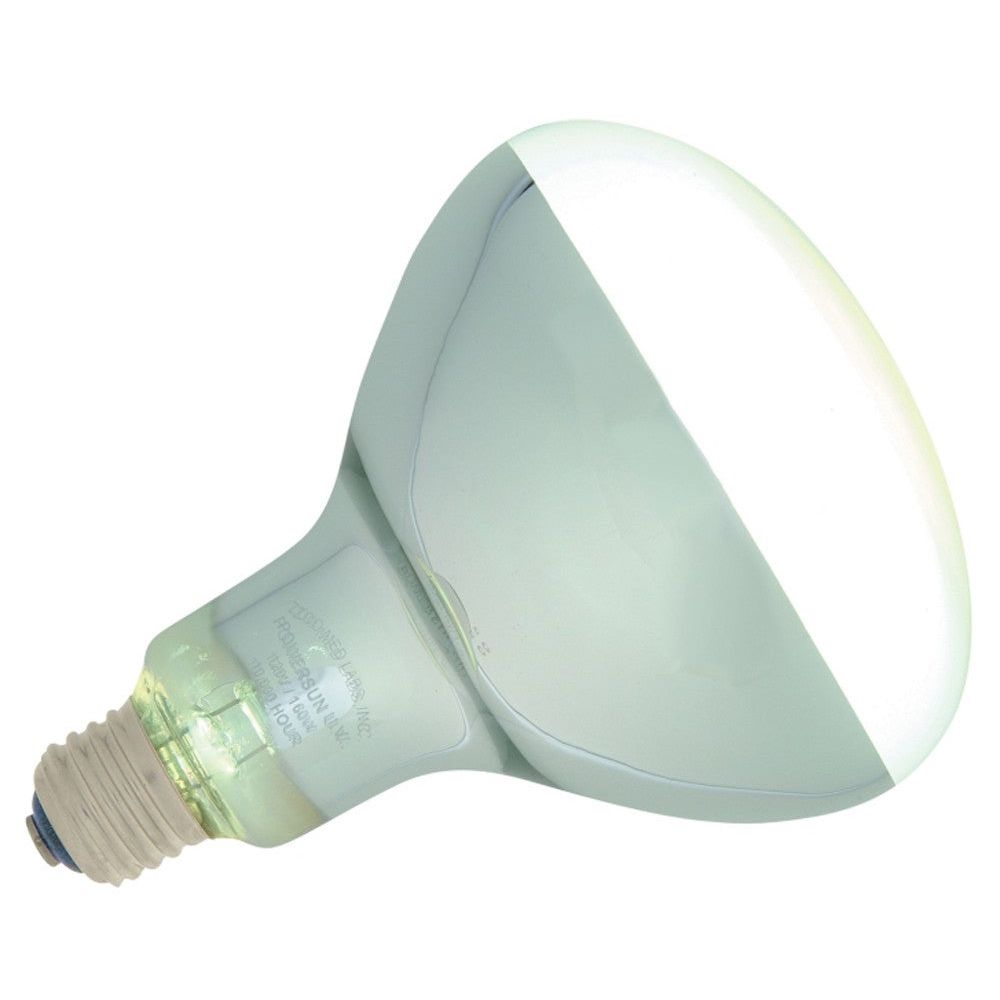 Zoo Med PowerSun UV Self-Ballasted Mercury Vapor Lamp Silver 1ea/160 W