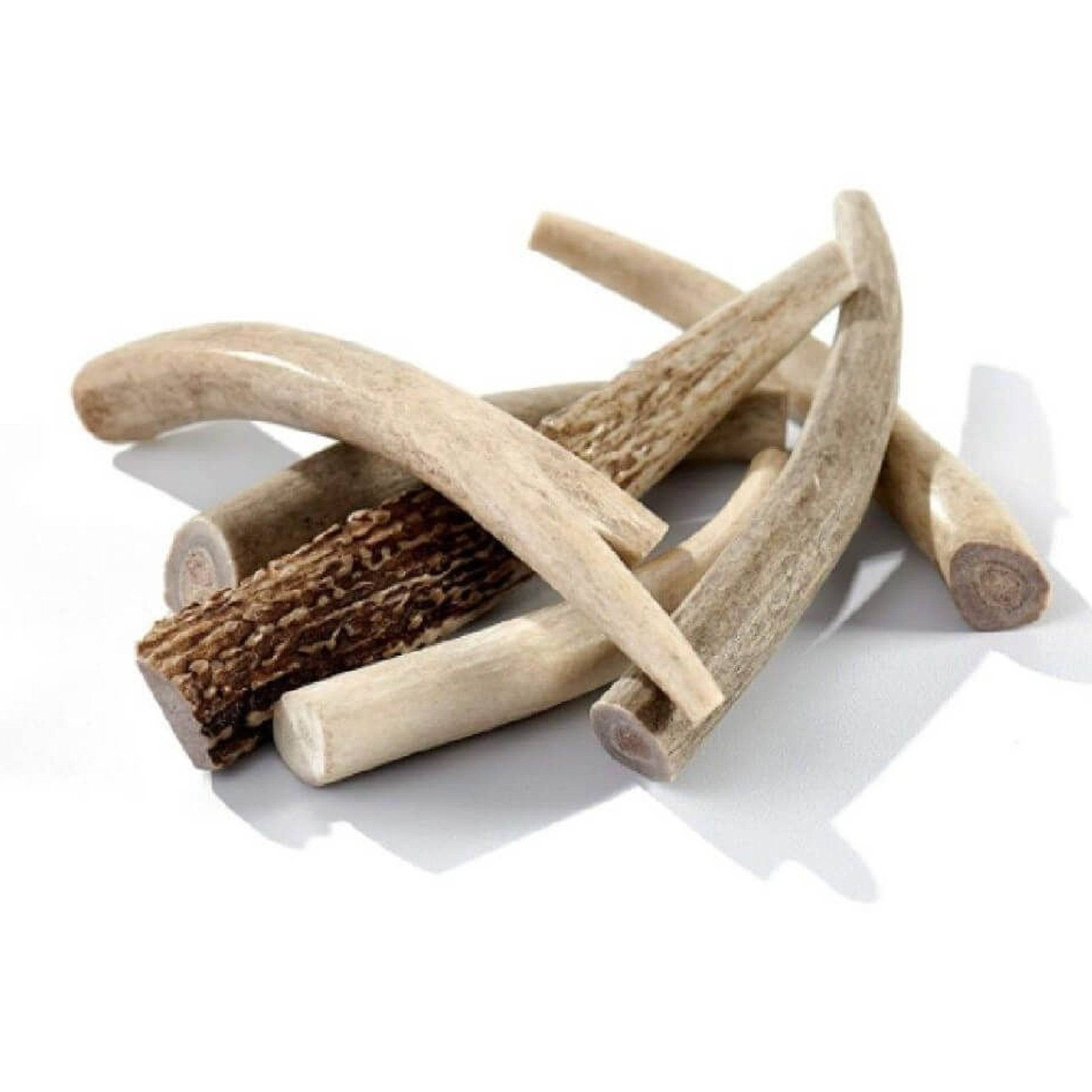 Elk Antler Dog Chews